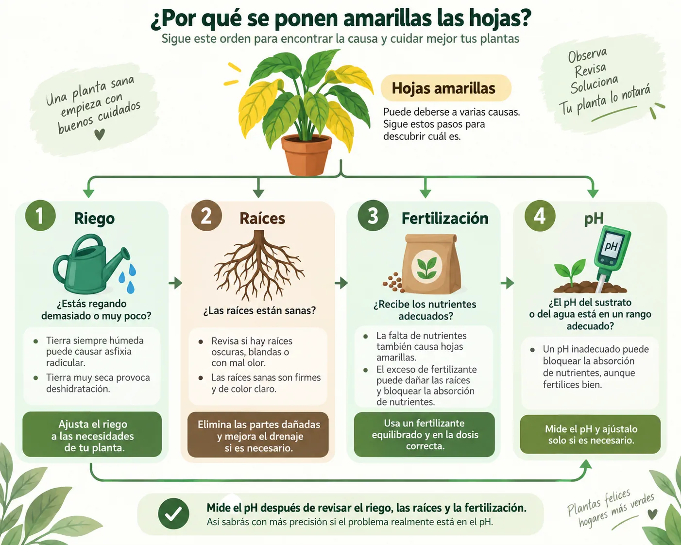 Esquema de diagnóstico para distinguir problemas de pH, riego, raíces y fertilización
